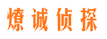 磐石调查取证